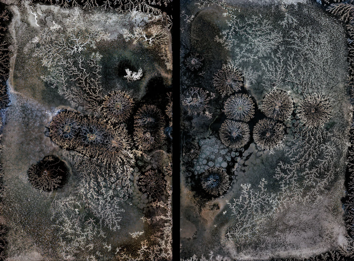 AbstractCombo2Diptych1937-1941webJPG.jpg