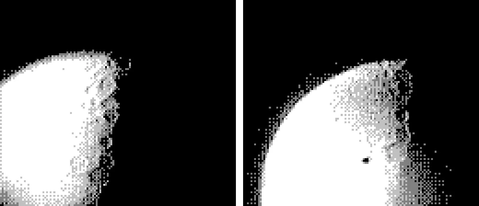 The moon photographed with Game Boy Camera