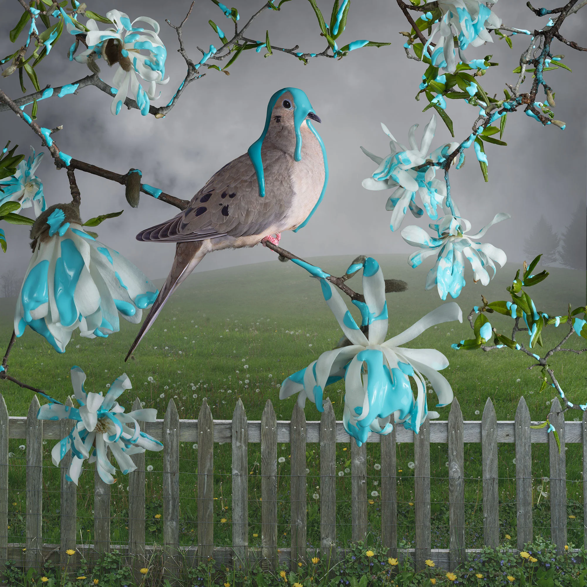 Blue Mourning