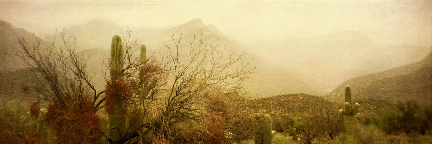 Desert Mist