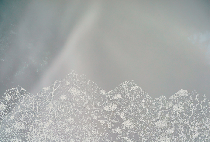 Mountain XXIII , Pigment print scratched with a razor