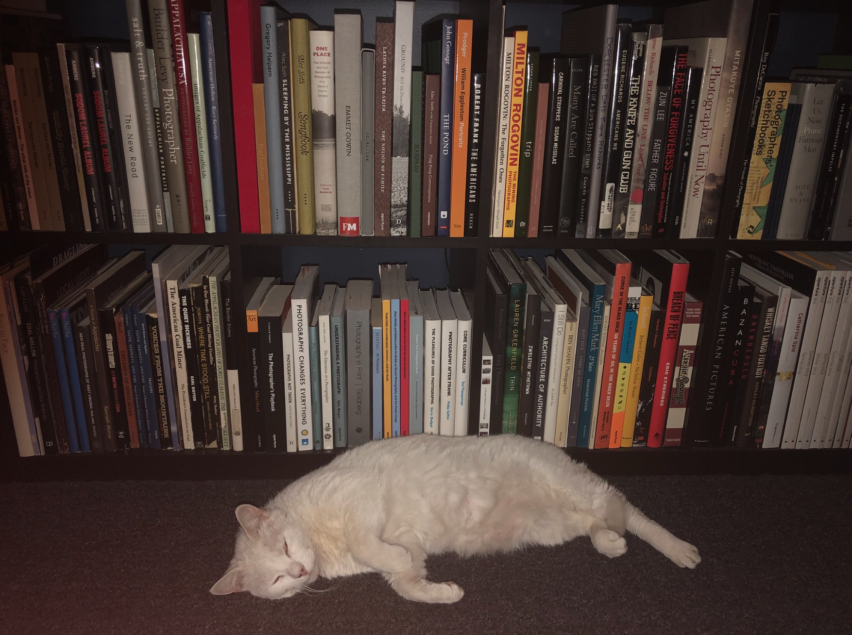 Owen enjoys Roger May 's photobook library.