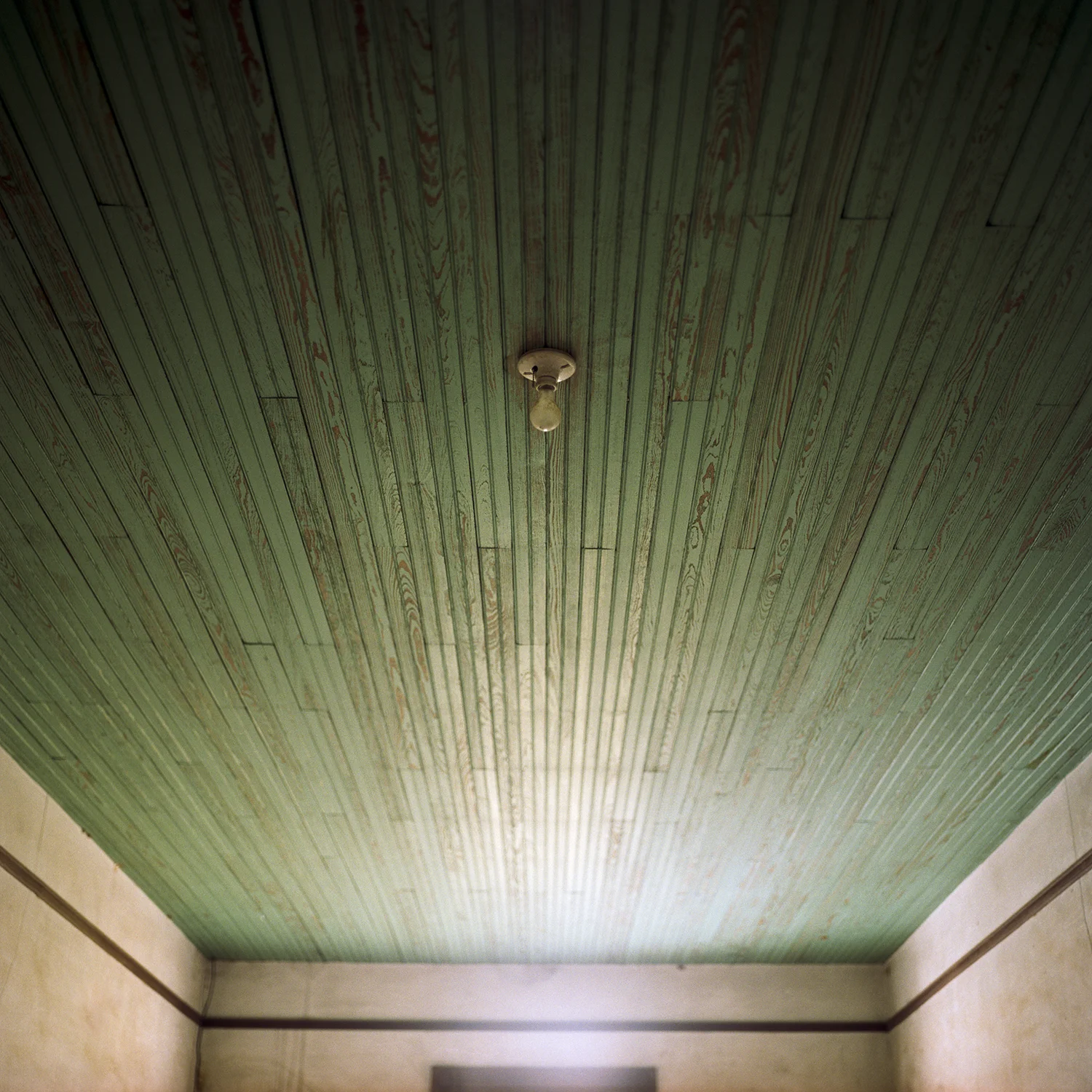 Bulb