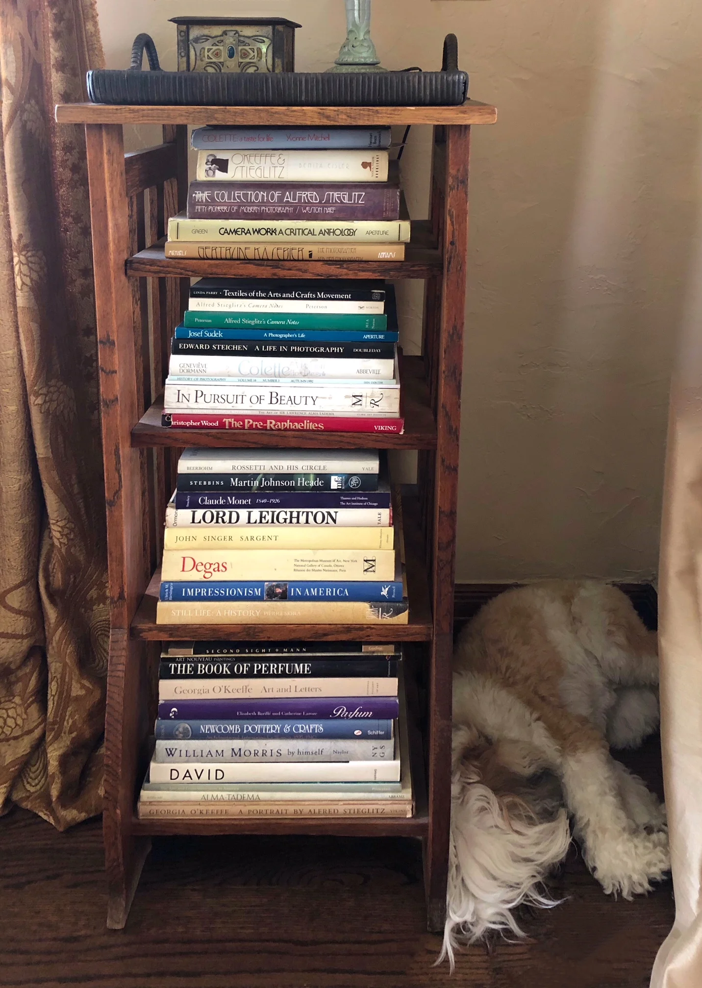 Sleeping watch dog by Wendi Schenider 's photobook shelf.