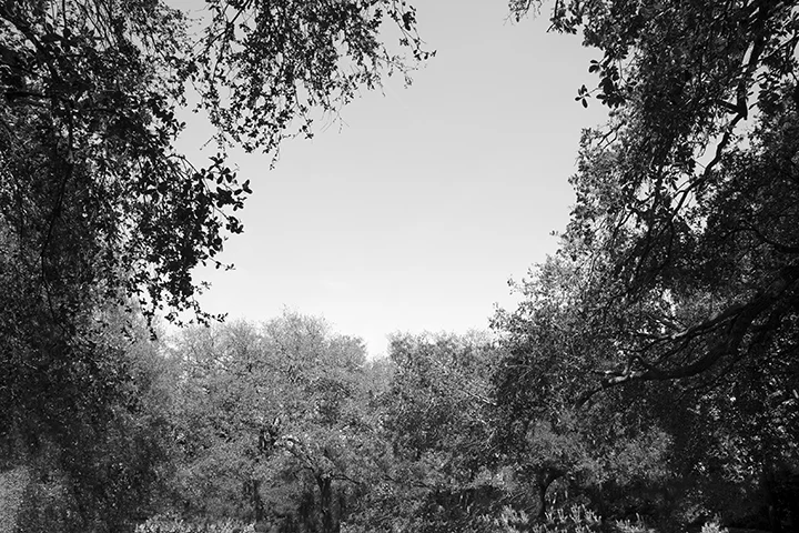 Rule Breakers: Kelly Kristin Jones