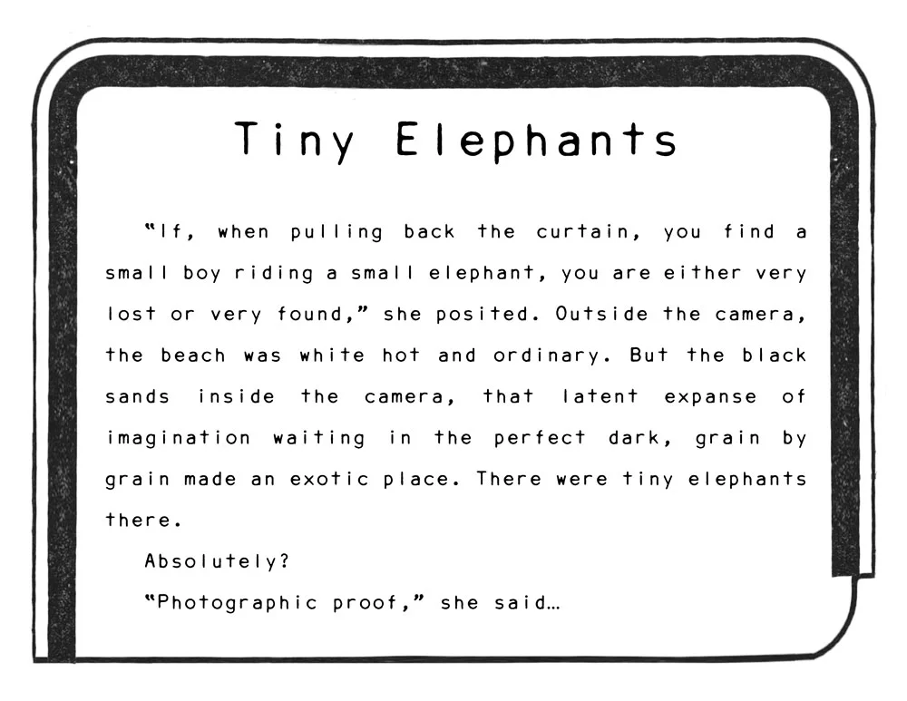 elephanttitle.jpg