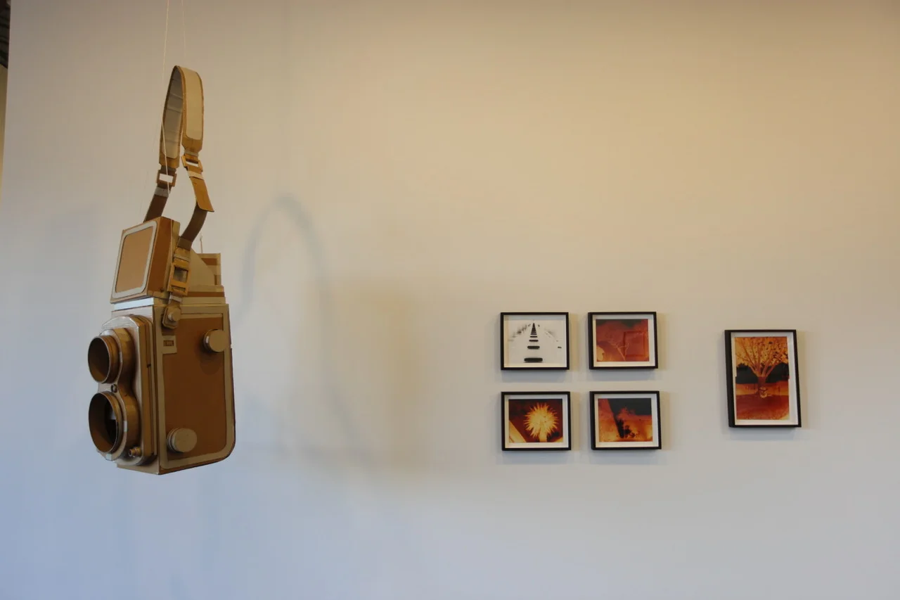 Twin lens reflex camera made of cardboard.
