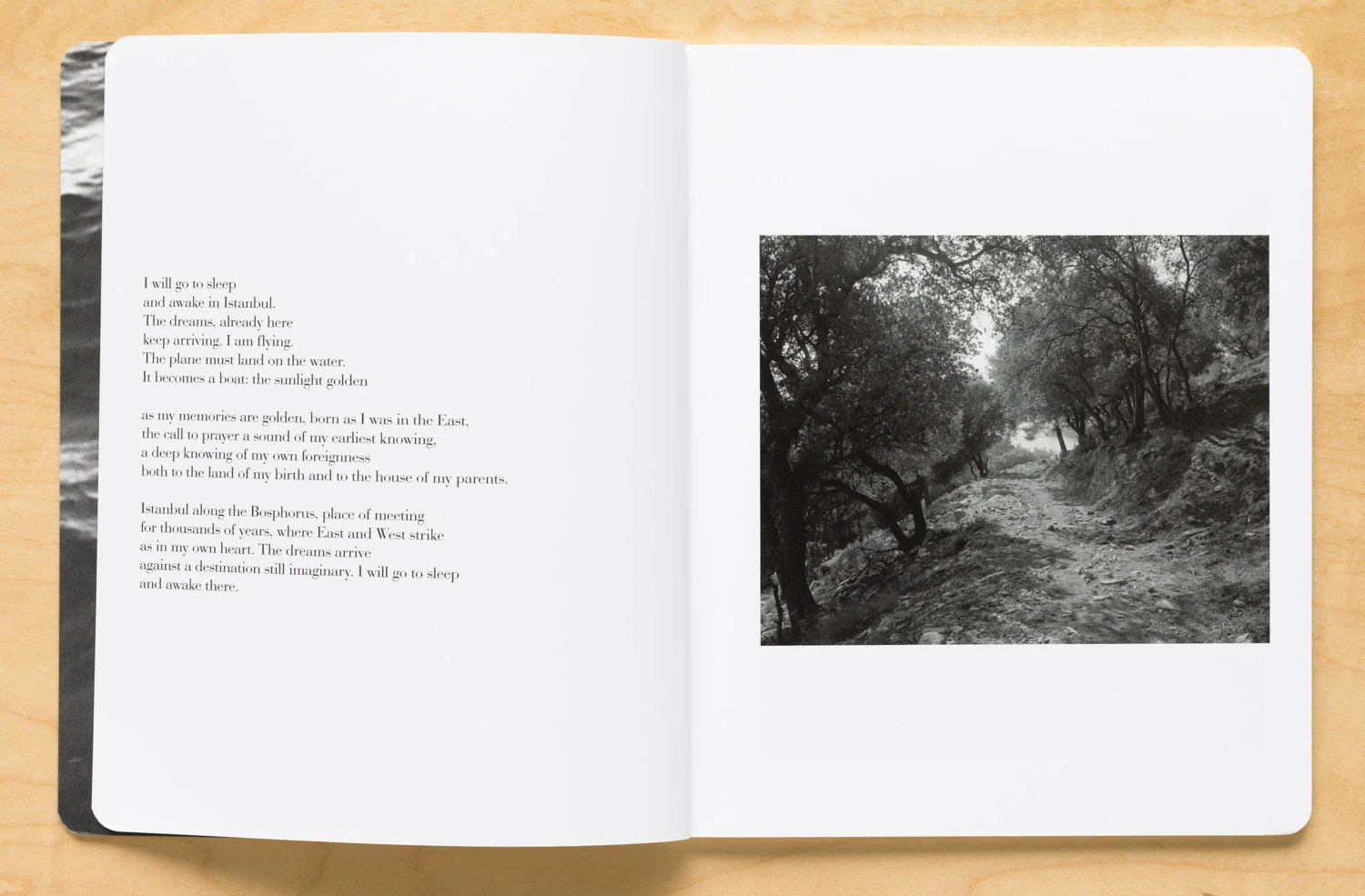 Journey by Marylynne Wrye