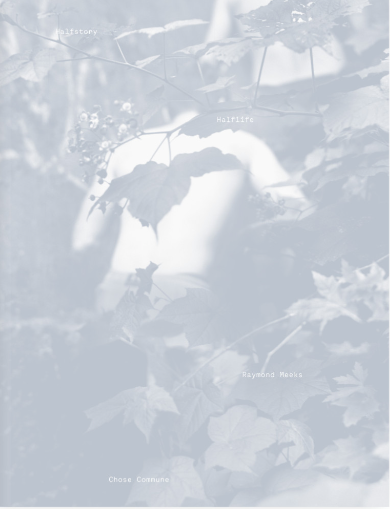 Screen Shot 2019-02-03 at 5.22.42 PM.png
