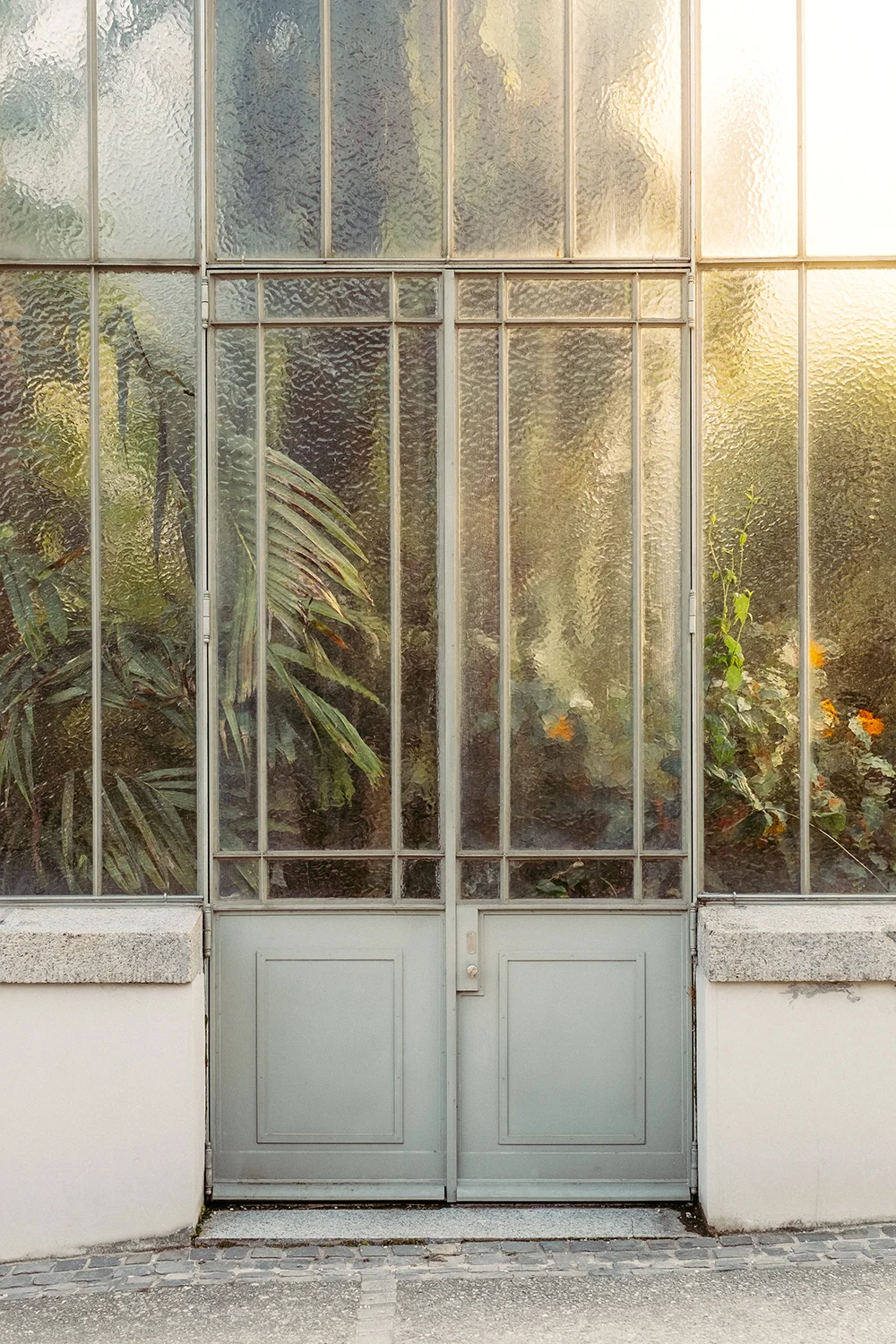 Back Door