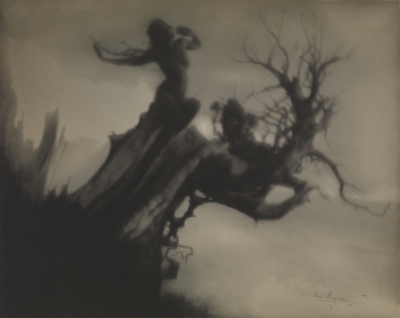 The Storm Tree