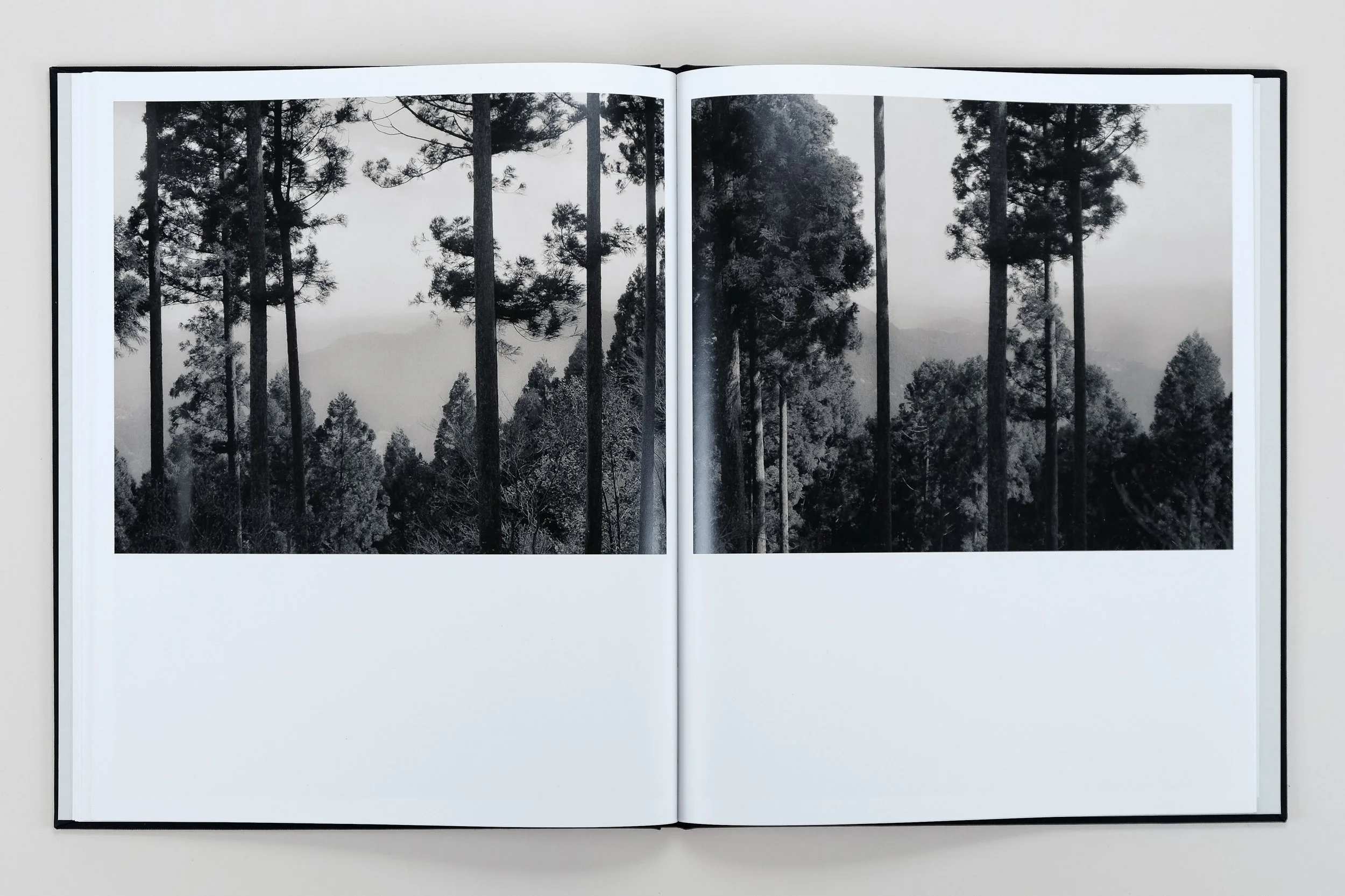 Yuka & the Forest by Lena C. Emery