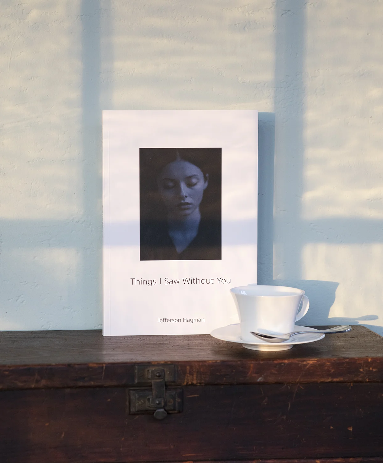 Things I Saw Without You by Jefferson Hayman Self-published, 2018 Softcover 108pp., $60