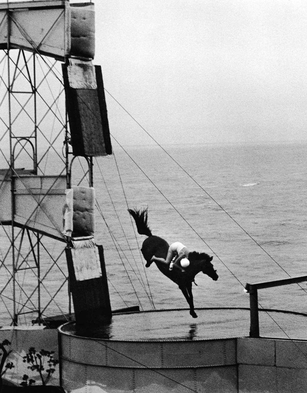 diving-horses-12.jpg