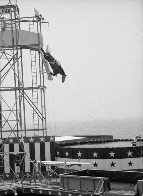 High dive_public domain.jpg