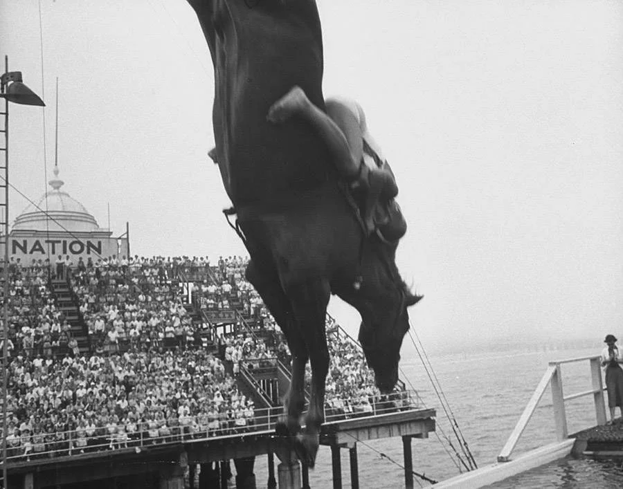 Photo: Peter Stackpole/LIFE