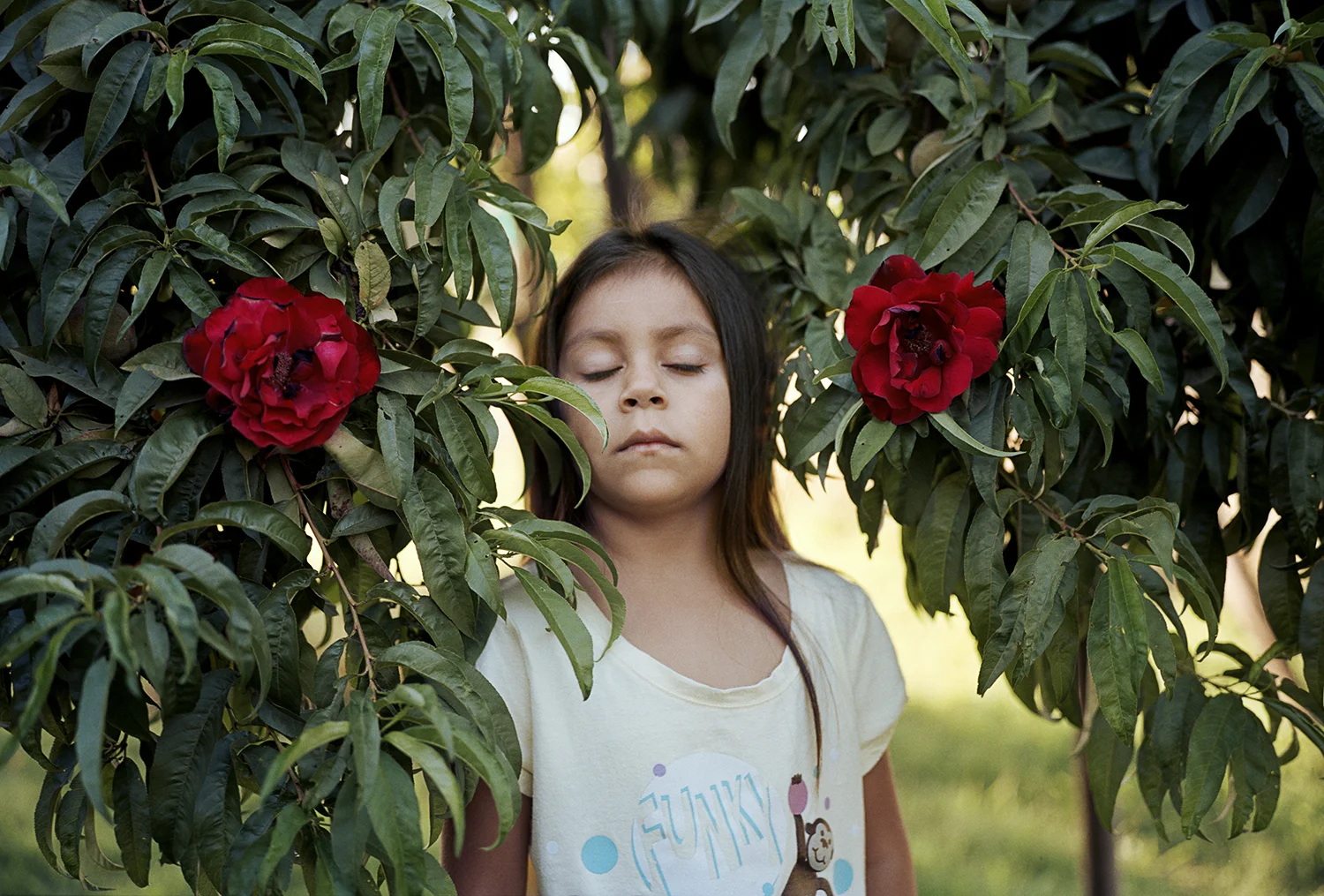 In the Peach Tree, Elk Grove, California , Kathya Maria Landeros