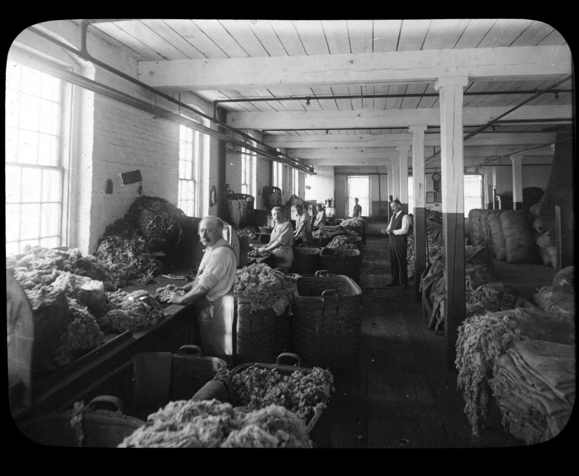 Wool sorting, 1912