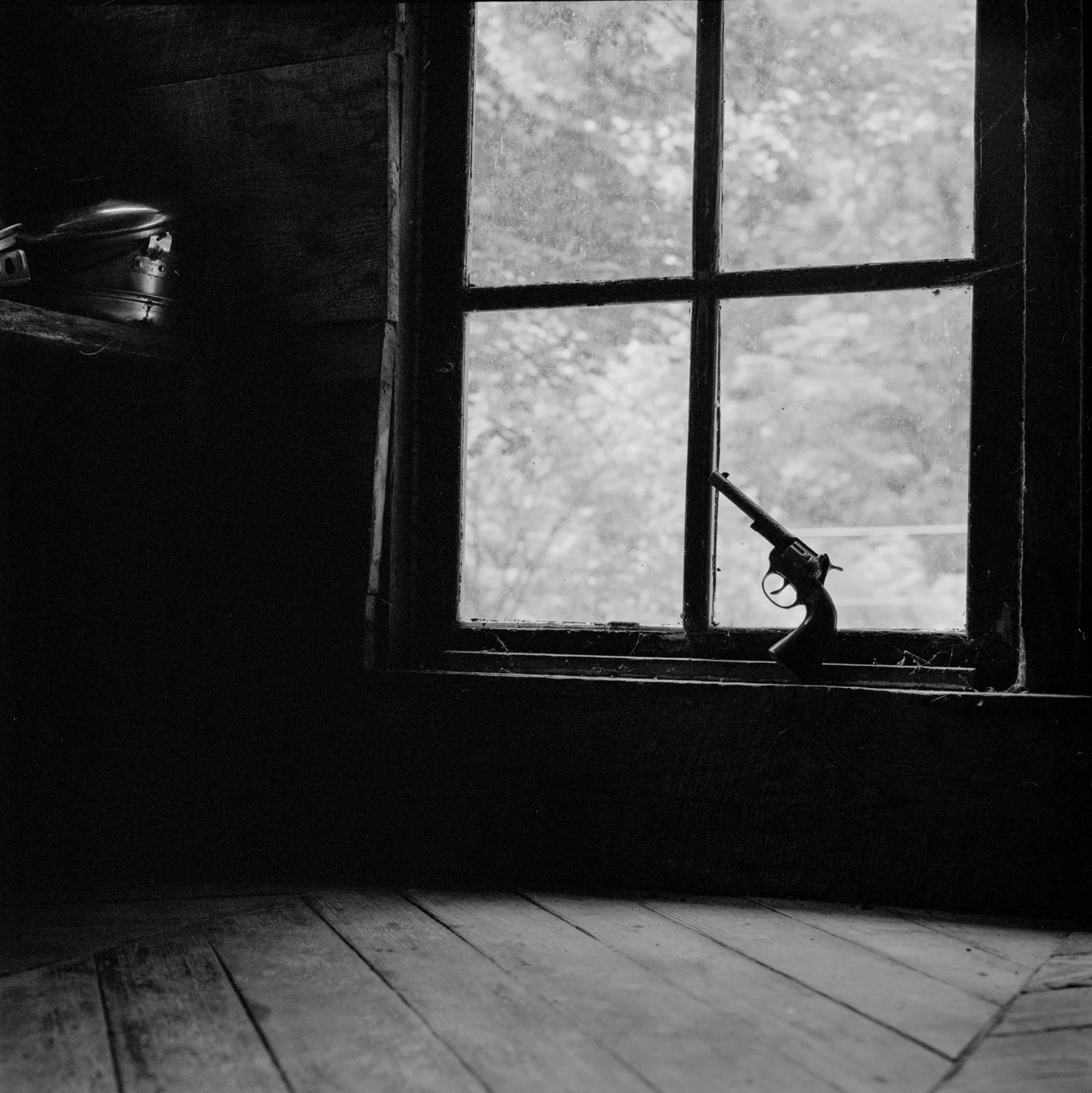 Little Toy Gun, West Virginia , Emily Rose Larsen