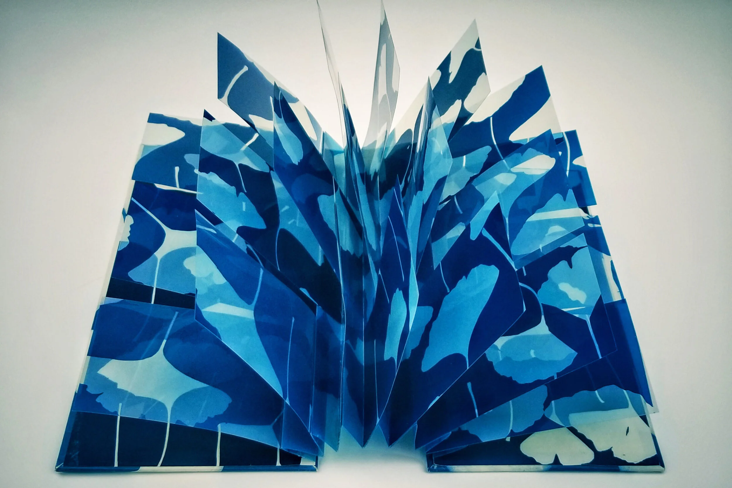 Winter Blues: Contemporary Cyanotypes at Center for Photographic Arts ...
