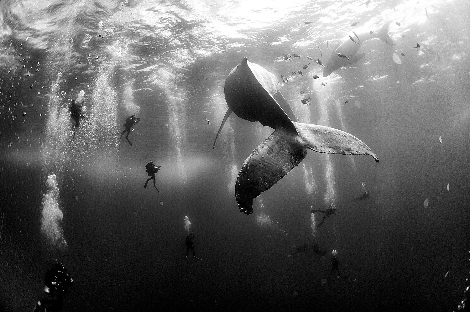 Anuar Patjane Takes Us to Underwater Realms