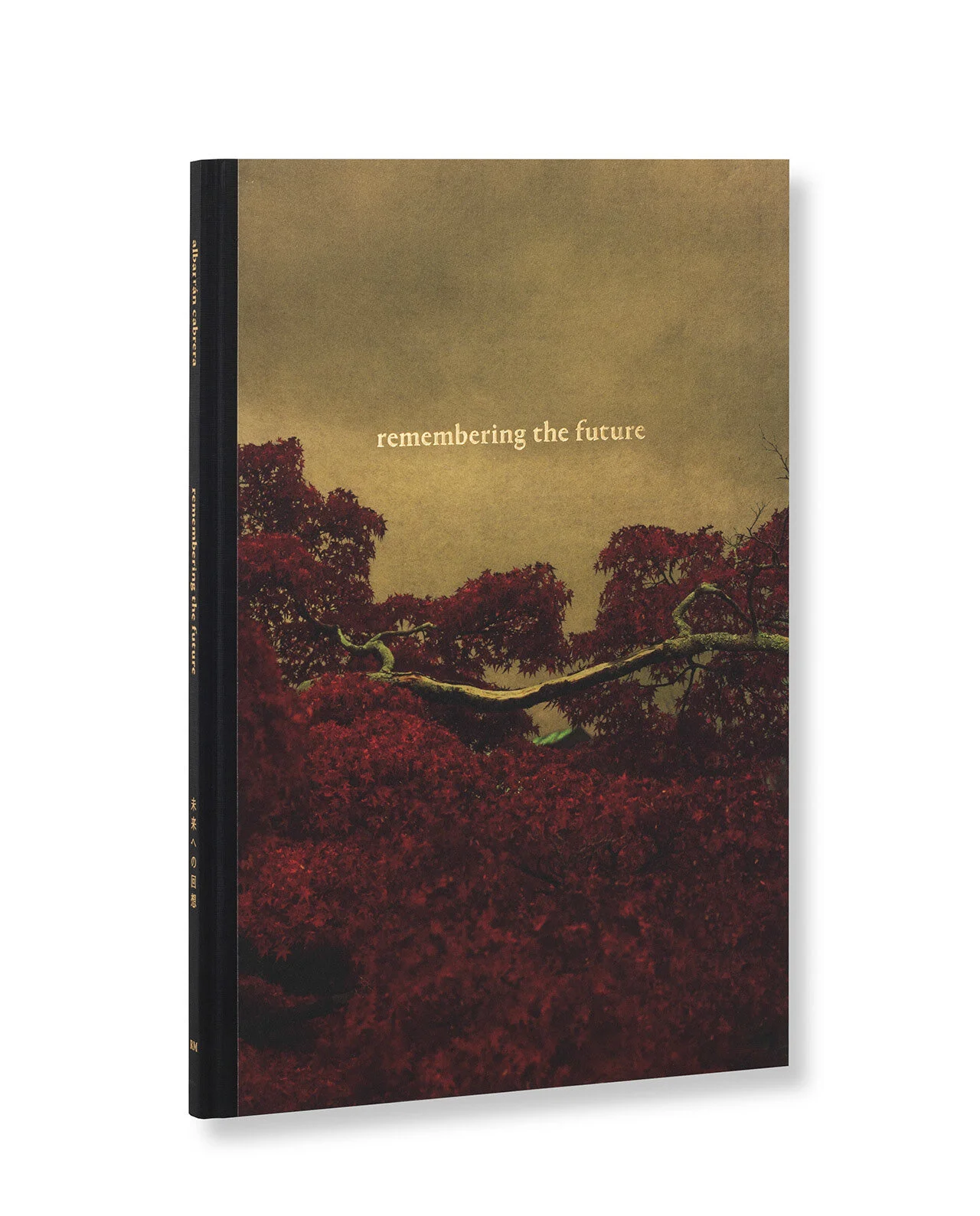 Weekend Reading: Albarrán Cabrera