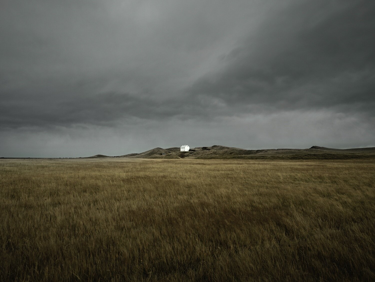 Rule Breakers: Tyler Gourley