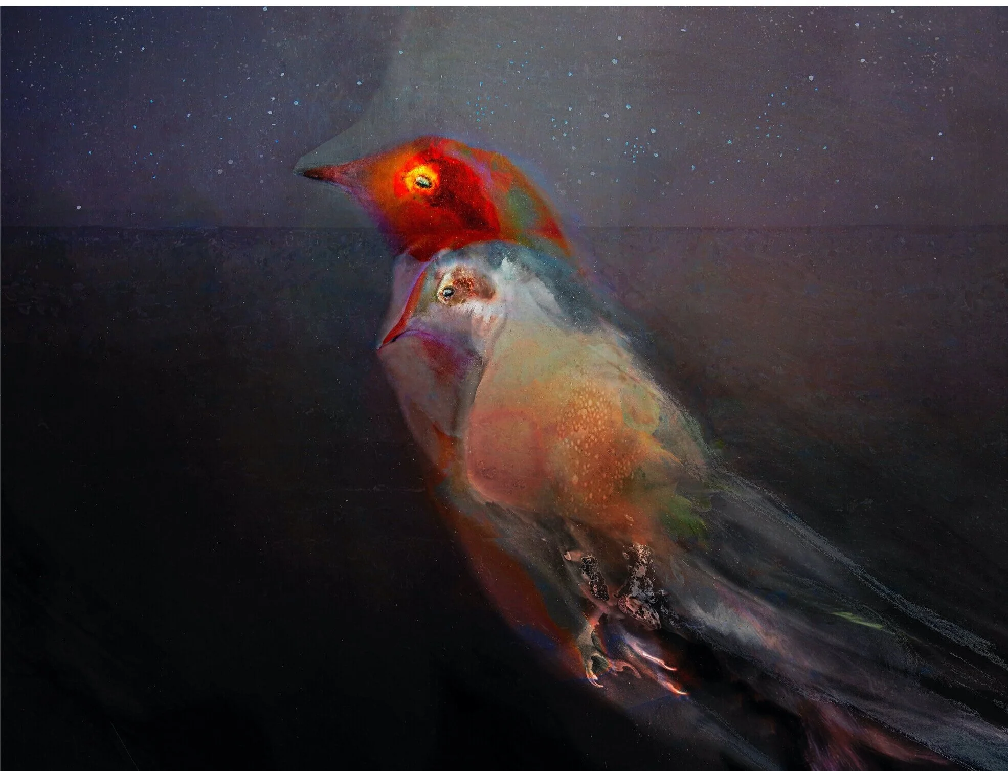 Rule Breakers: Judith Nangala Crispin