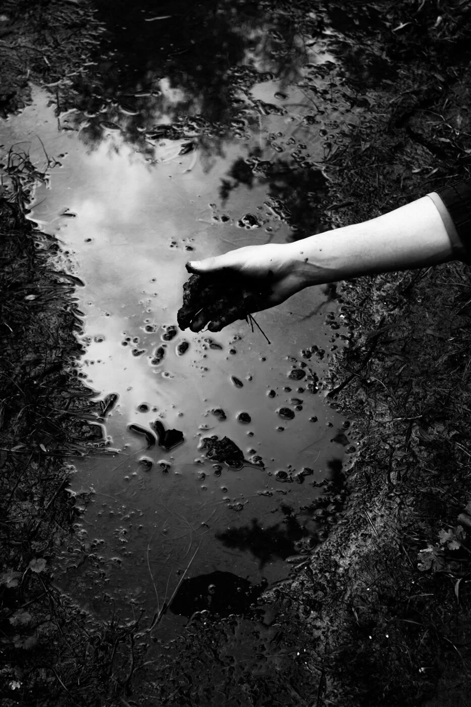 A Show of Hands Exhibition