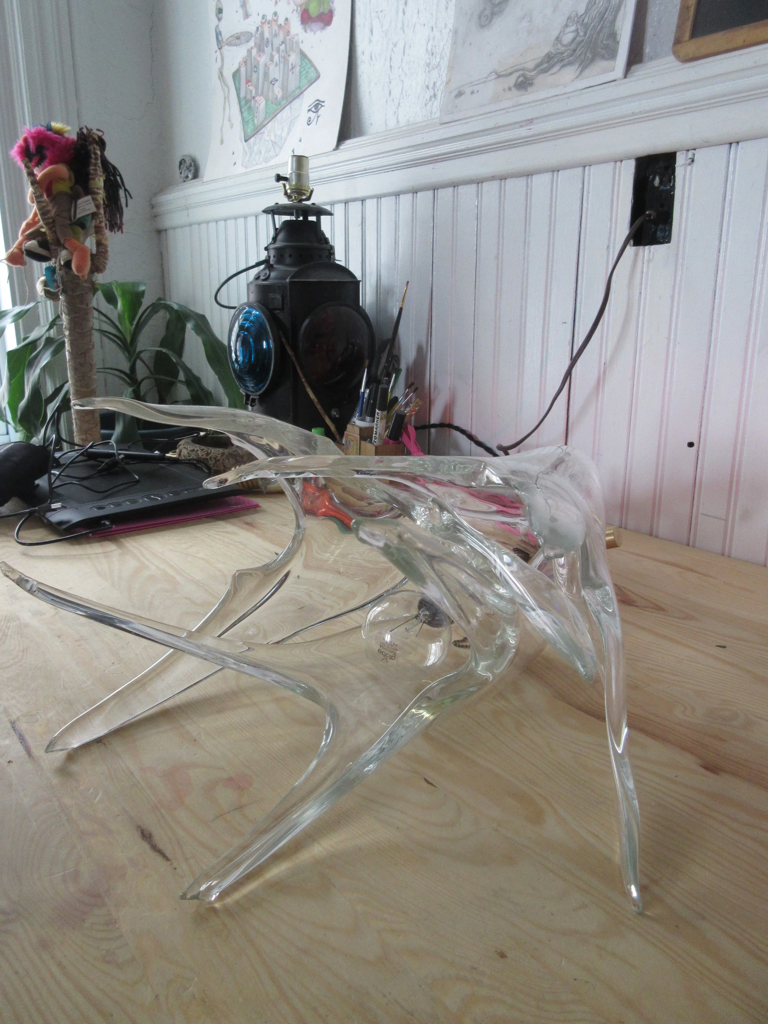 antler2.JPG