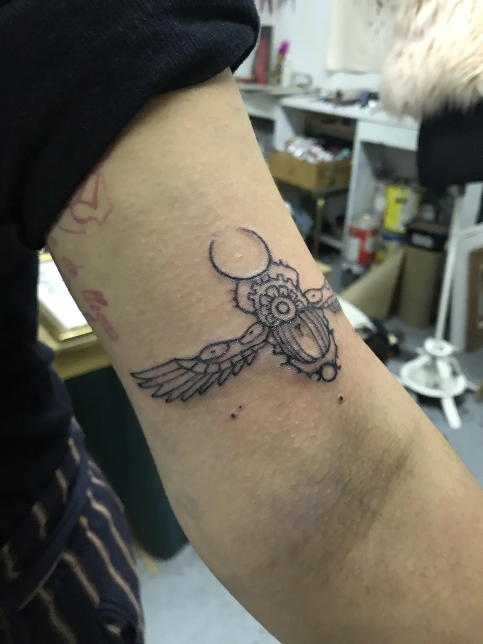 IMG_4039.jpeg