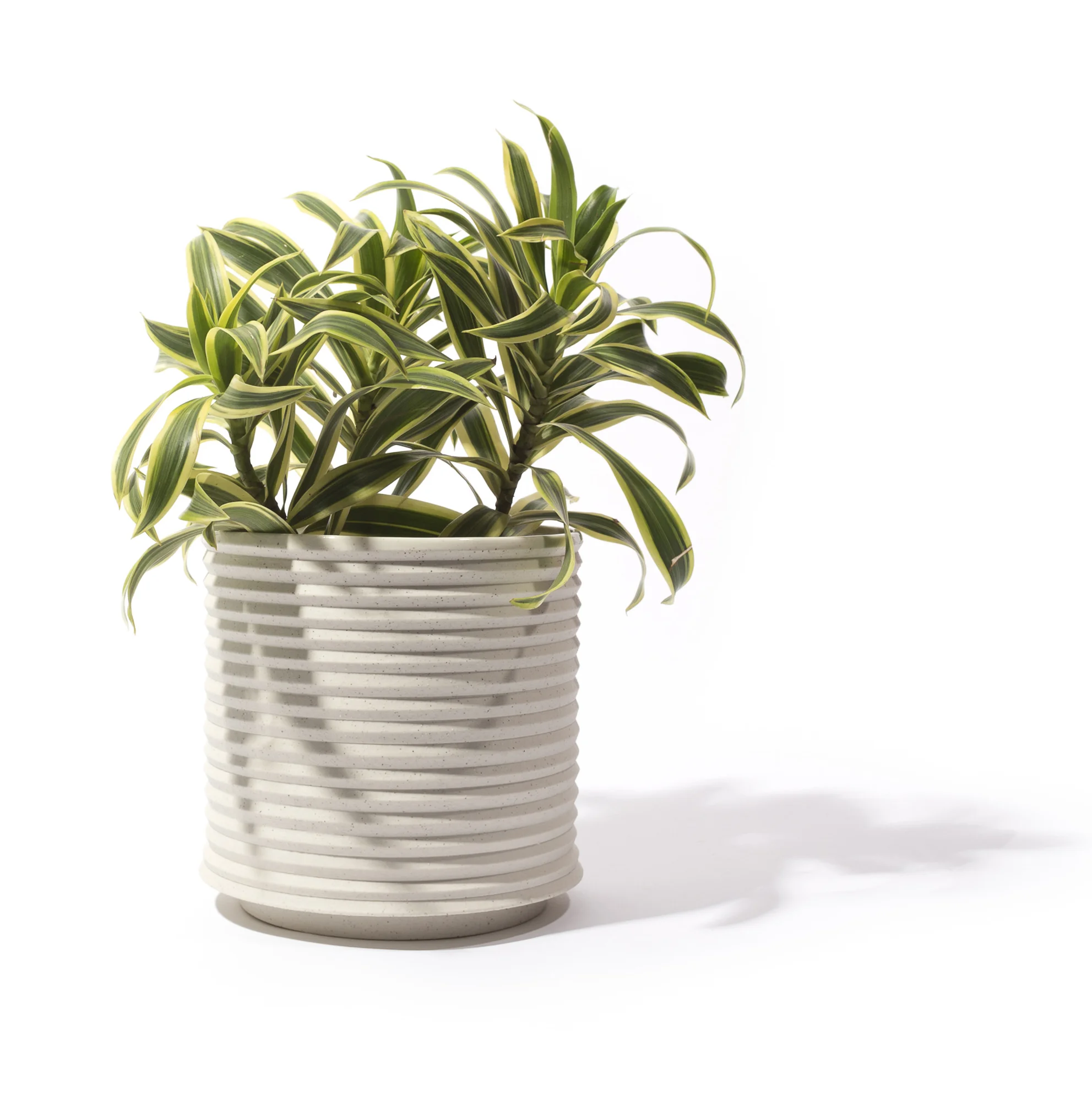1 Andrew Molleur Oblique Planter.jpg