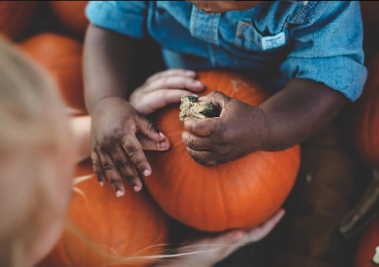 Parent/Child Dedication - Sunday, November 20