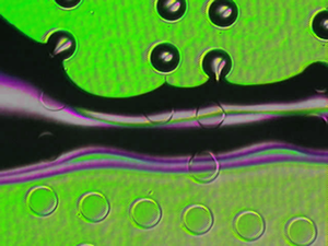 Teflon.png