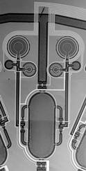 ChaoticAdvection3.png