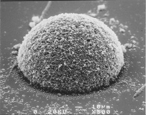 Flocculation2.jpg