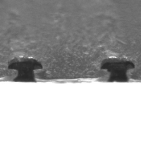 Cross section of nickel microelectrodes embossed in polycarbonate demonstrating self-anchoring "hook" shape and planar exposed surface