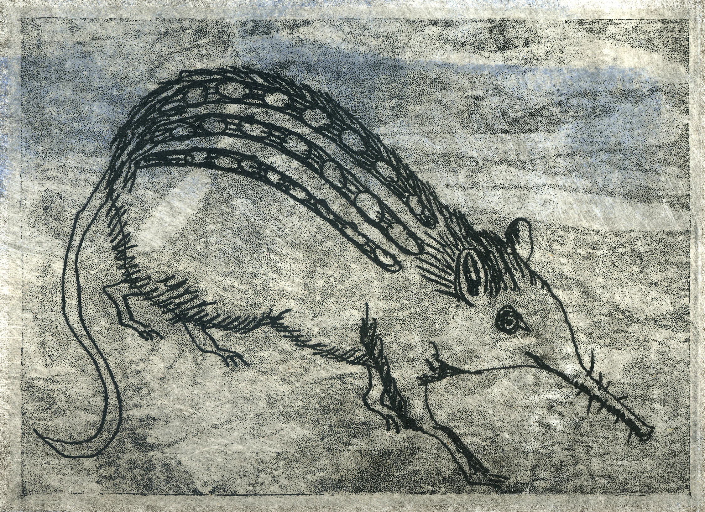 genusspecies.jpg