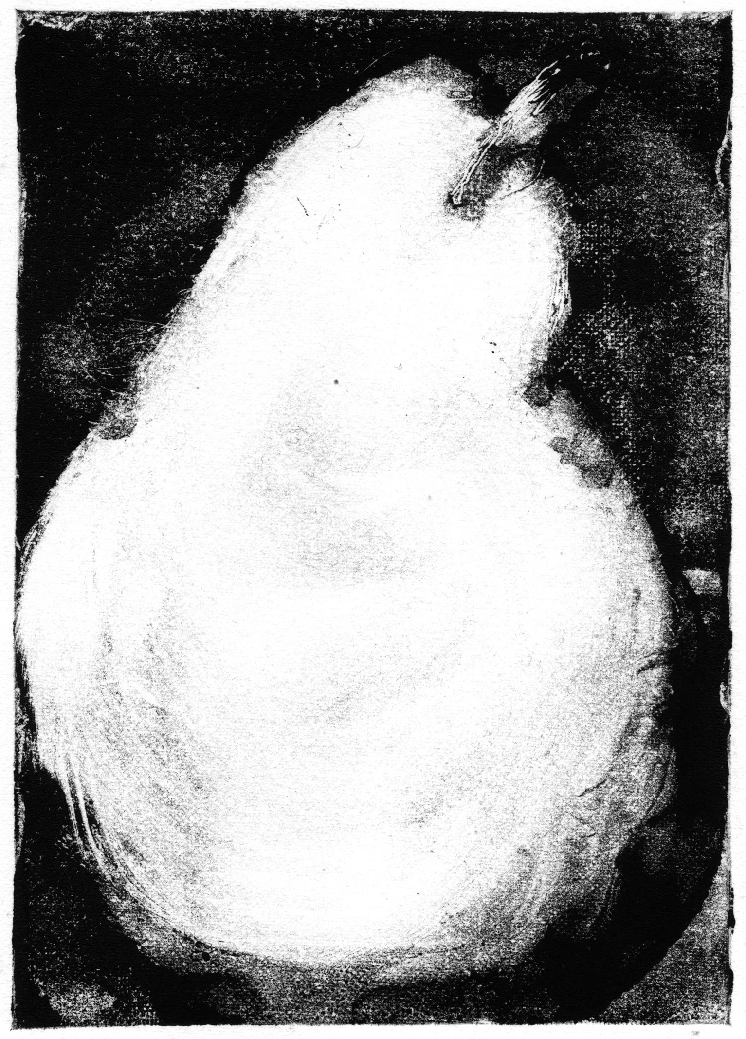pears 2.jpg