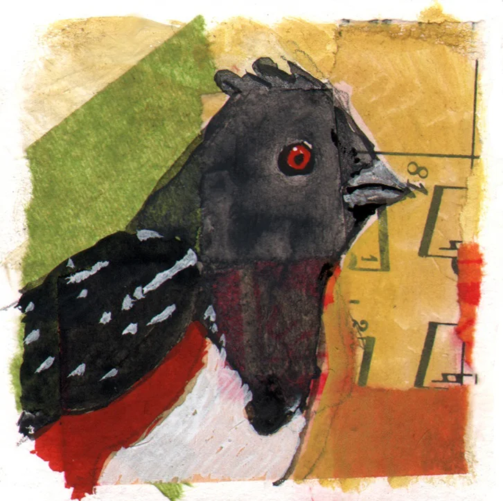 advent towhee.jpg