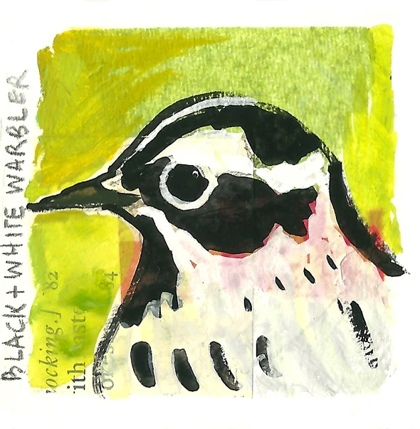 black and white warbler.jpg