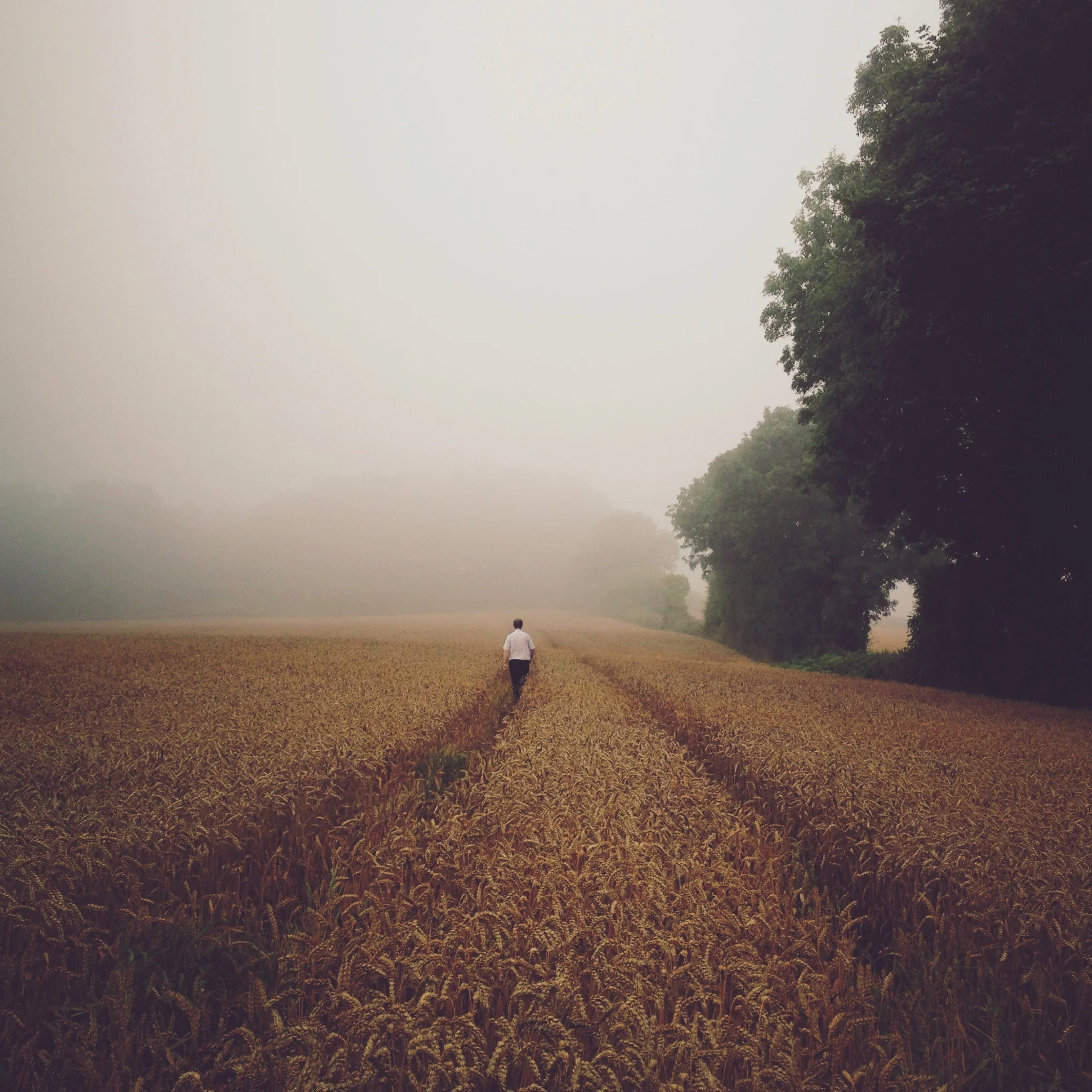 Let's go wait out in the fields