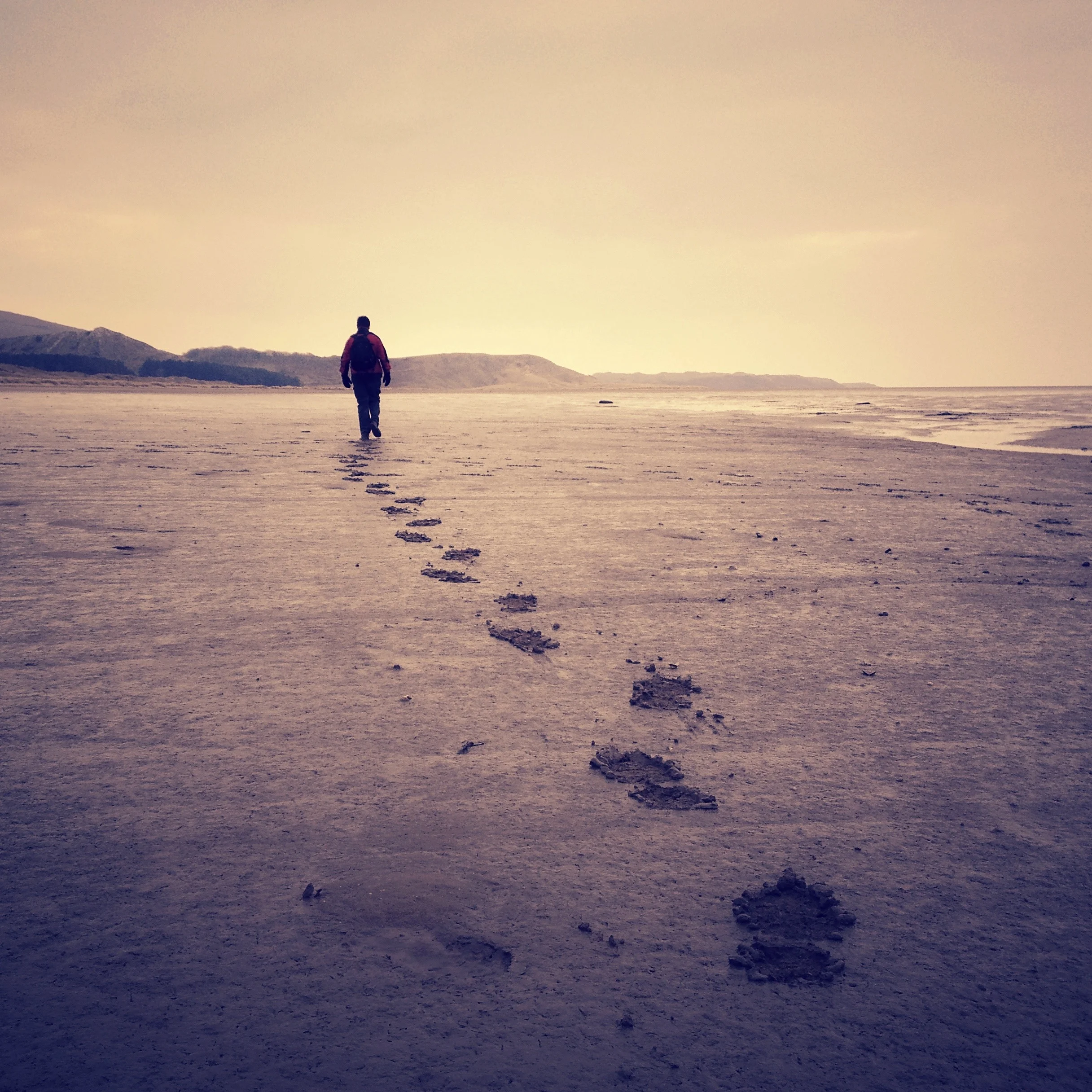 Alive alone
