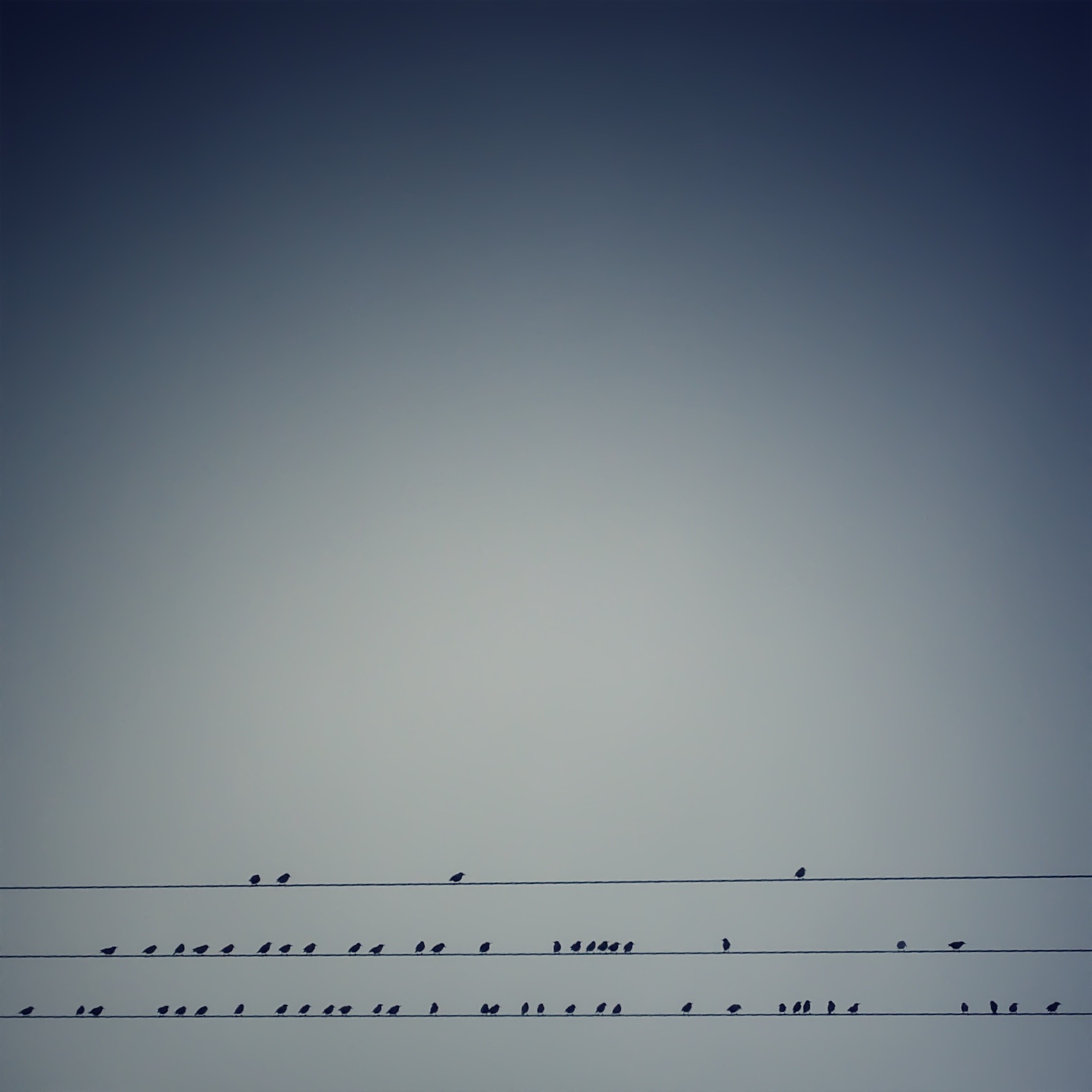 Telegraph code