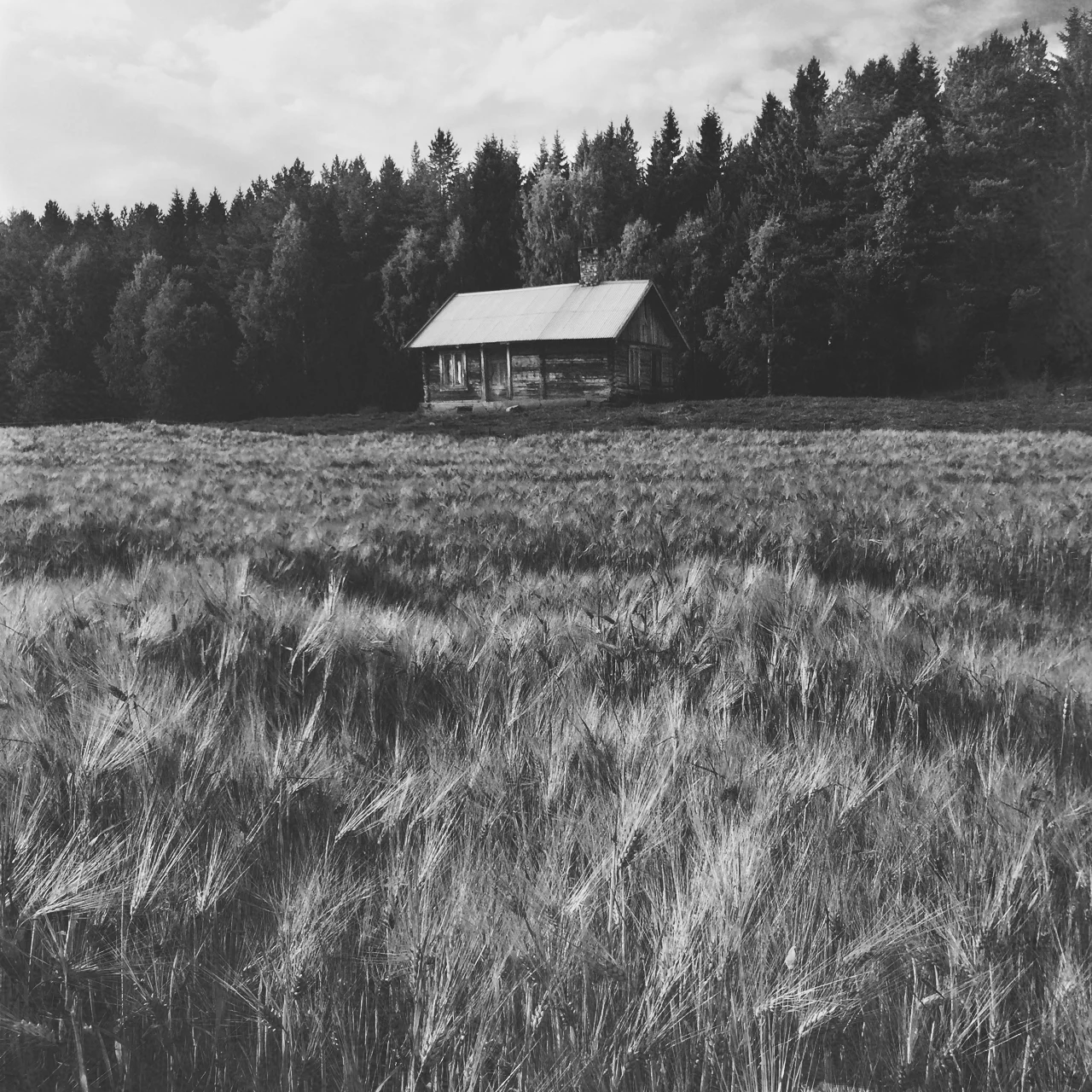 Weather and wheat