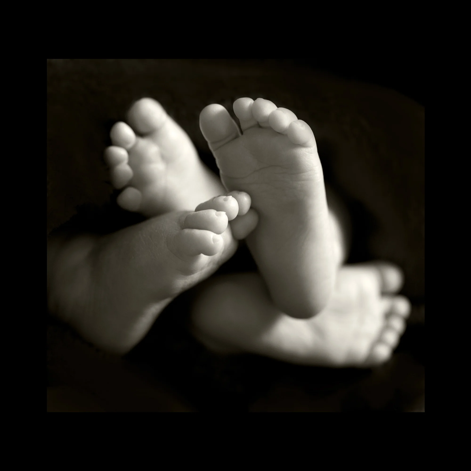 TT_Feet_SepiaFF_30hx32w.jpg