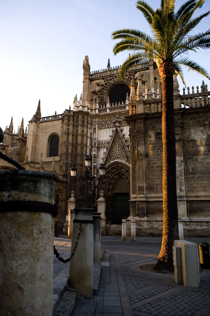 spain_palmtree.JPG