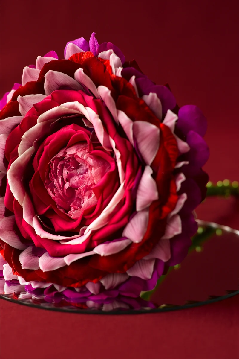 PinkFlower.jpg