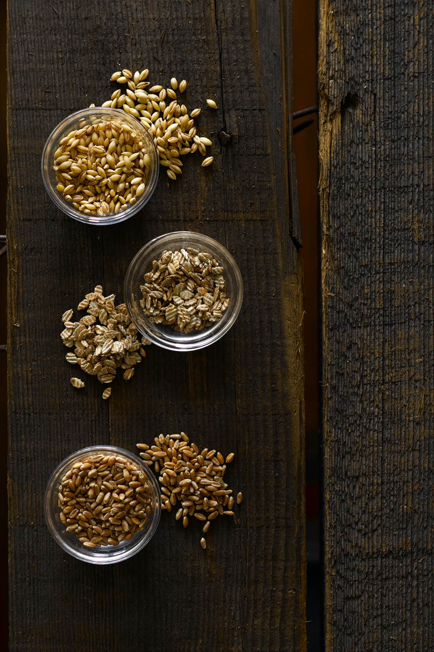 Whiskey_Grains.jpg