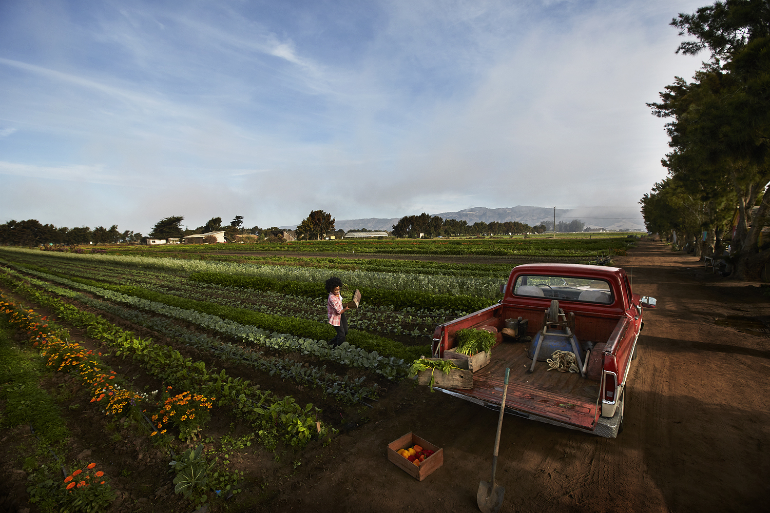 18A_W42717_MMR_53264_BLK_SS19_0101_Rafalovich ret.jpg